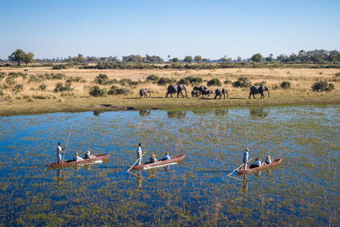 Dragonfly Safaris Okavango Kruger Park Cape Town Africa111
