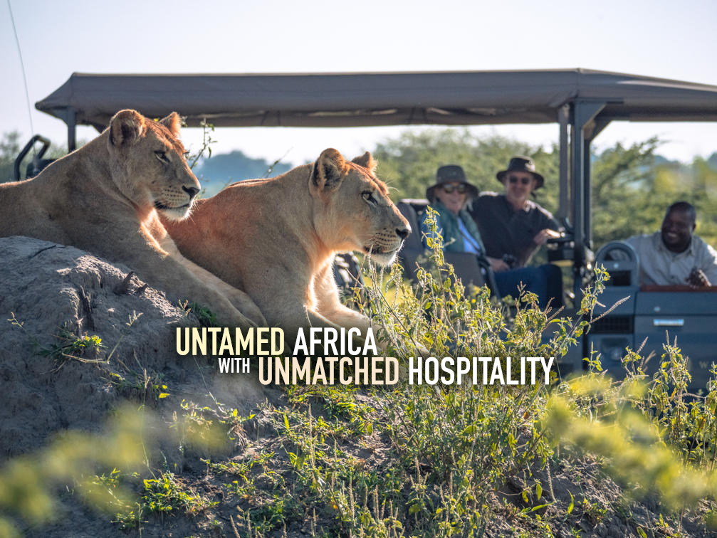 Great African Safari Company South Africa Lions Big Five